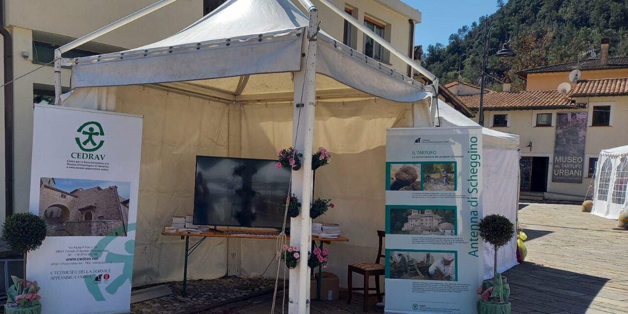 IL CEDRAV A DIAMANTE NERO 2025