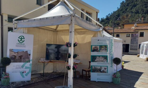 IL CEDRAV A DIAMANTE NERO 2025