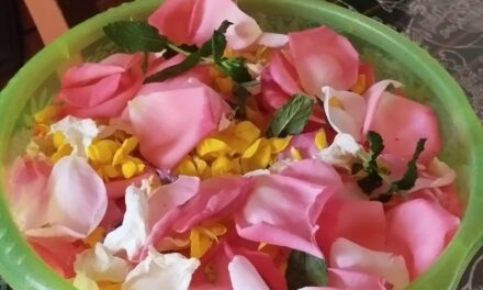 24 GIUGNO – NATIVITA’ DI SAN GIOVANNI BATTISTA