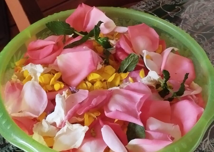 24 GIUGNO – NATIVITA’ DI SAN GIOVANNI BATTISTA